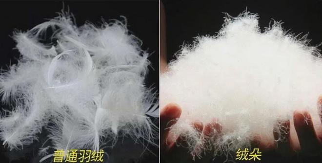 今冬神裤！有运动裤的轻、羽绒服的暖显瘦还显腿长(图8)