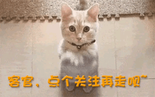 涨价5毛后半年少卖7个亿国民饮料背刺打工人3400家经销商出走(图21)