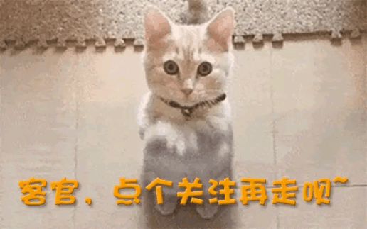暴跌317%！椰子水“塌房”之后饮料巨头市值已蒸发七成(图17)